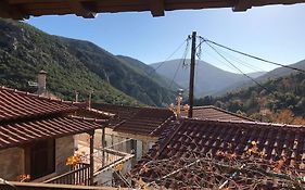 Fani'S House